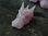 cráneo de drágon cuarzo rosa #1440