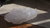 clear quartz double ended crystal #39