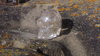 Kristallschädel Bergkristall #1821