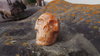 crâne de cristal calcite #1772